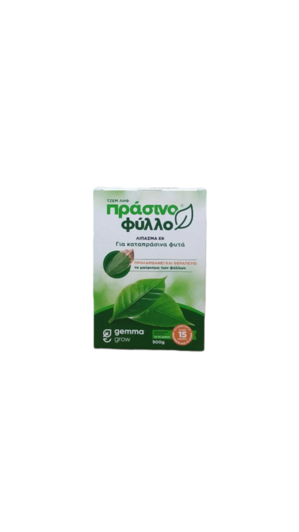 Green leaf jam leaf 500g
