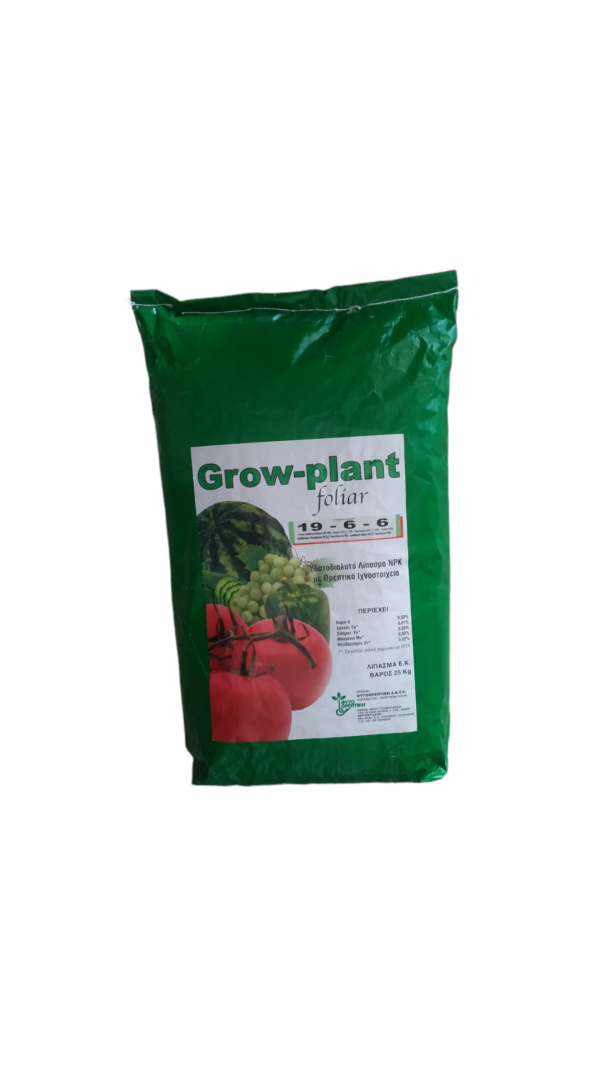 Green fertilizer 19-6-6 + trace elements 25kg