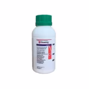 Quadris 25 SC (Azoxystrobin 25%)