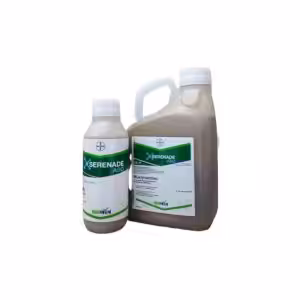 Serenade ASO (Bacillus amyloliquefaciens QST 713 96,69%)