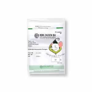 Αρτεμισία/Εστραγκόν (Artemisia dracunculus Tarragon) 25gr