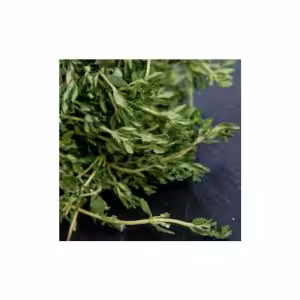 Θυμάρι (Thymus vulgaris) 10gr
