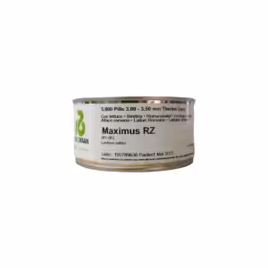 Υβρίδιο Μαρουλιού MAXIMUS RZ (41-95) 5000 Σπόροι