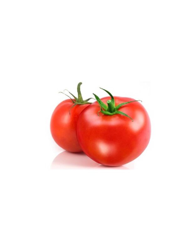 Tomato Ace