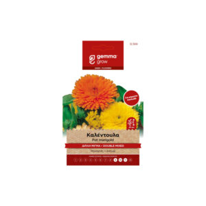 Giant calendula double mix