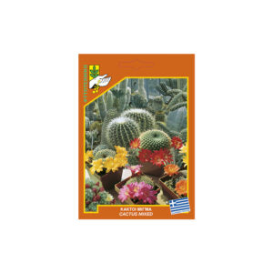 Cacti mix