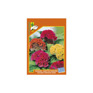 Celosia short mix