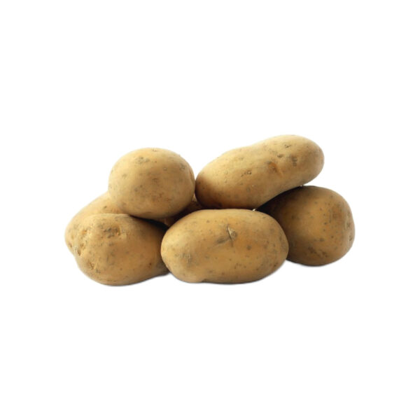 Potato Seed (Variety) ” EL BEIDA”35 / 60mm
