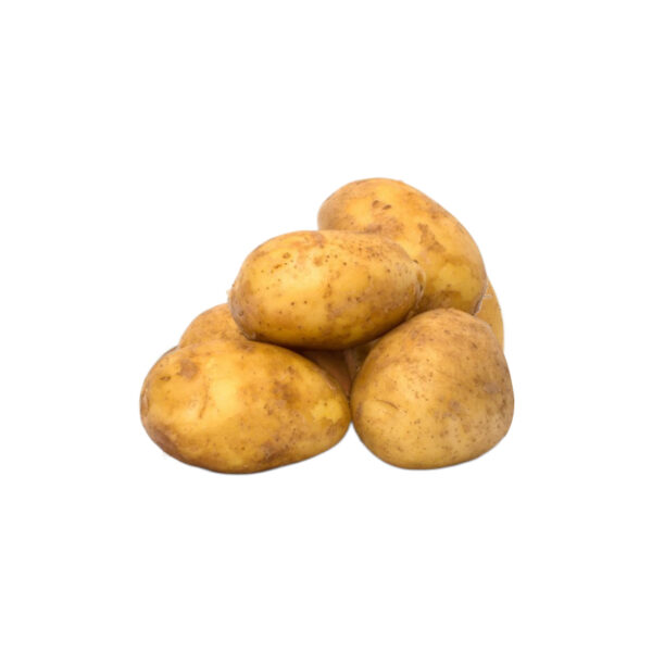 Seed (variety) of potato ” SPUNTA ”28 / 35mm