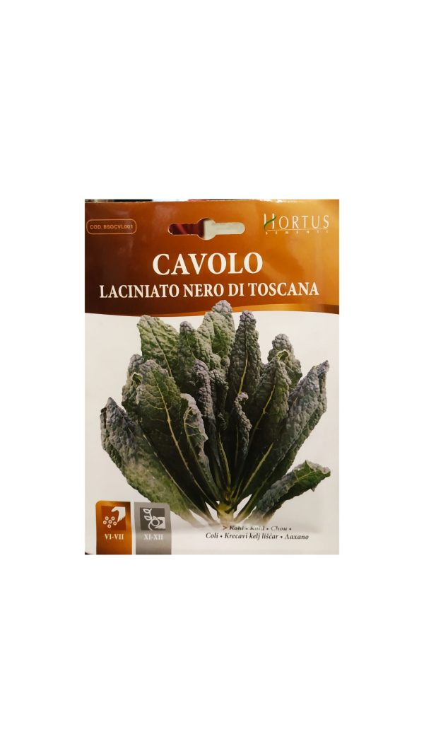 Σπόροι Λάχανο Kale