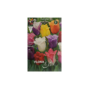 Tulips different colors Parrot Mix envelope 10pcs