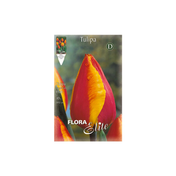 Tulip red orange Flair envelope 10pcs