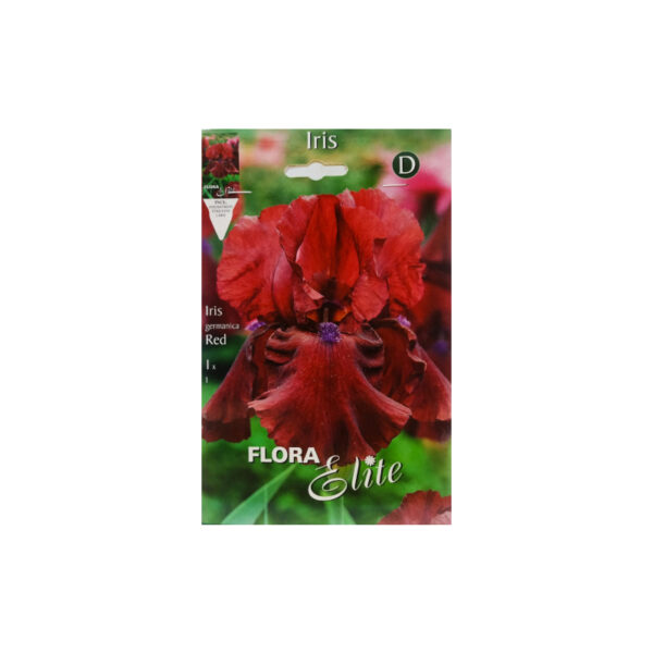 Iris Germanica Red