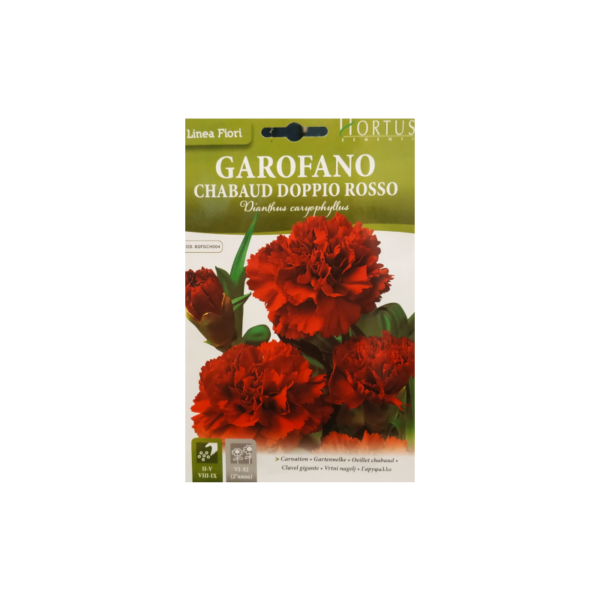 Carnation common double red