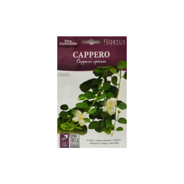 Caper seed