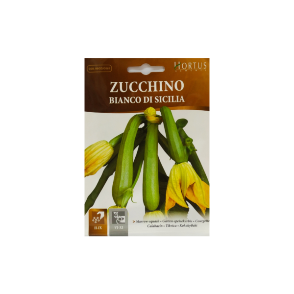 Κολοκυθάκι για Ανθό (Zucchino Bianco di  Sicilia)