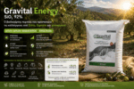 Gravital Energy