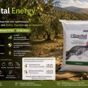Gravital Energy (SiO2 92%) Bιοδιεγέρτης Πυριτίου