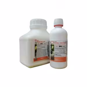 Exirel Bait 10 SE (Cyantraniliprole 10%)
