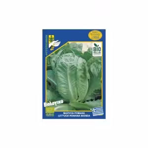Μαρούλι Ίσιο Romaine Καλοκαιρινό BIO